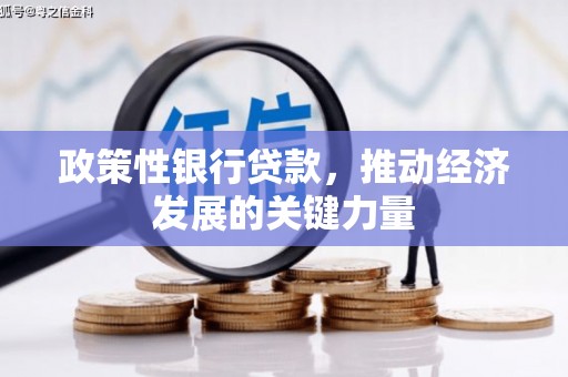理县政策性银行贷款，推动经济发展的关键力量