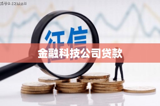 蒲城金融科技公司贷款