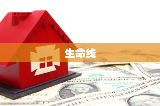 宁明生命线