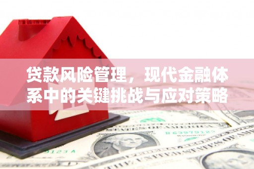 疏附贷款风险管理，现代金融体系中的关键挑战与应对策略