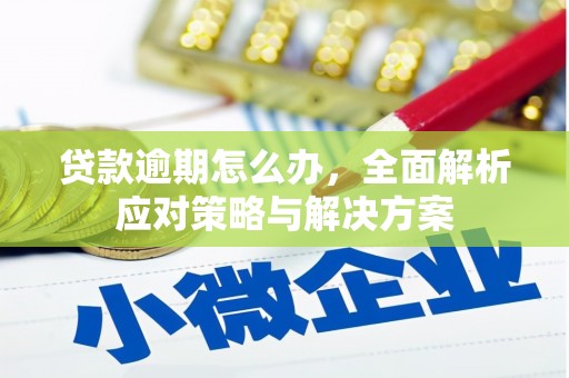城关贷款逾期怎么办，全面解析应对策略与解决方案