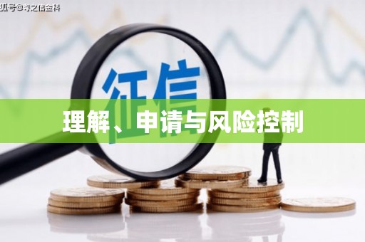 云龙理解、申请与风险控制
