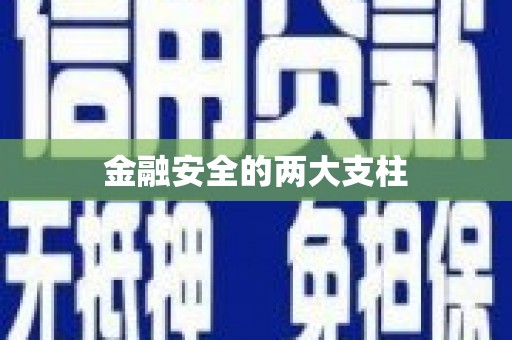 甘孜金融安全的两大支柱
