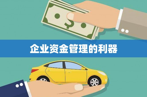 龙凤企业资金管理的利器
