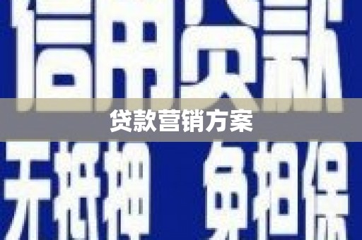 洛扎贷款营销方案
