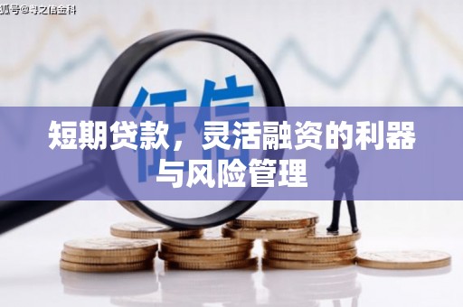 溆浦短期贷款，灵活融资的利器与风险管理